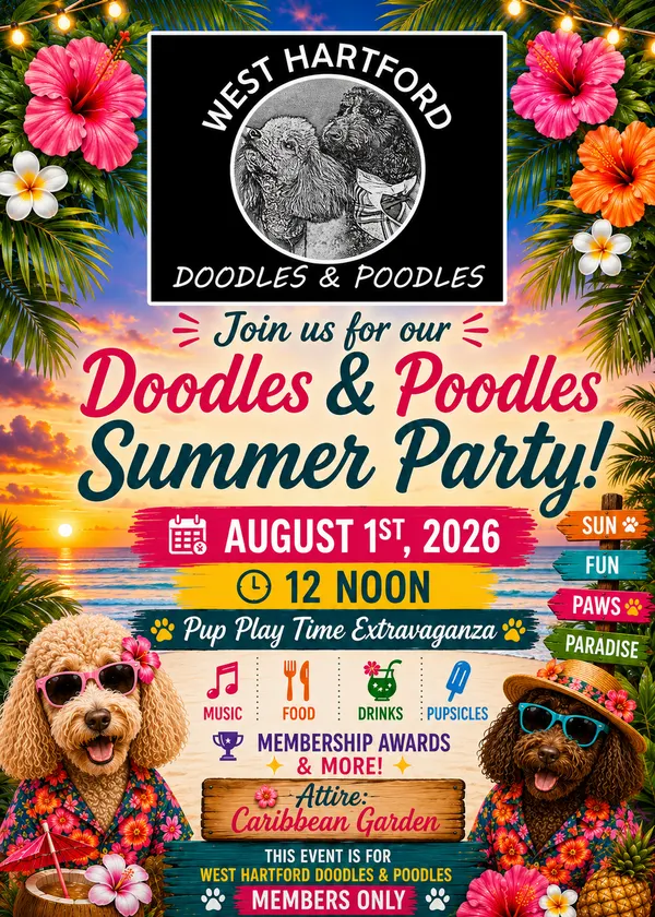 Summer party flyer